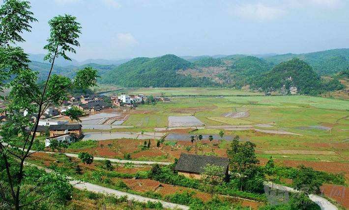 農(nóng)業(yè)品牌，鄉(xiāng)村品牌建設，鄉(xiāng)村產(chǎn)業(yè)正在廣袤農(nóng)村蓬勃興起